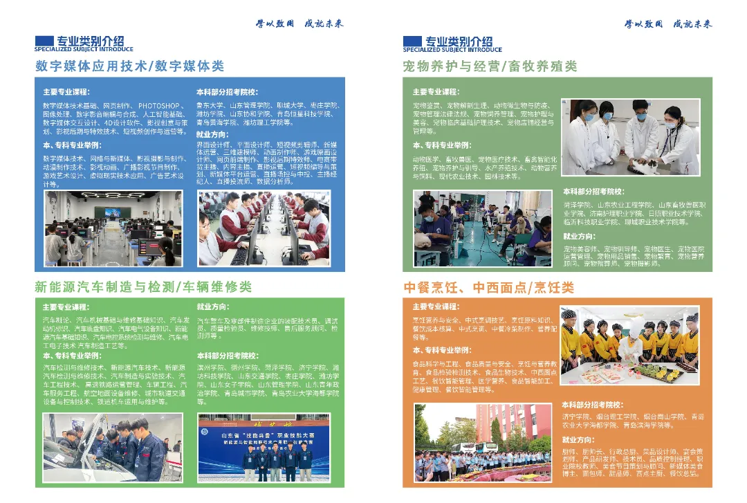 中考分数卡在 300 分左右别乱择校!本周校园开放日实地看清本科升学路径.这几项专属升学政策平时线上根本看不到!-第15张图片-四季读书网 中考分数卡在 300 分左右别乱择校!本周校园开放日实地看清本科升学路径.这几项专属升学政策平时线上根本看不到!-第15张图片-四季读书网