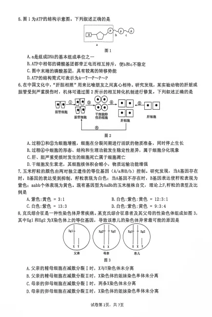 重磅!本学期广东高一期末真题新鲜出炉!点击免费领取~-第49张图片-四季读书网