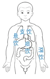 中医内科学--拿下血证、痰饮(附真题)-第3张图片-四季读书网