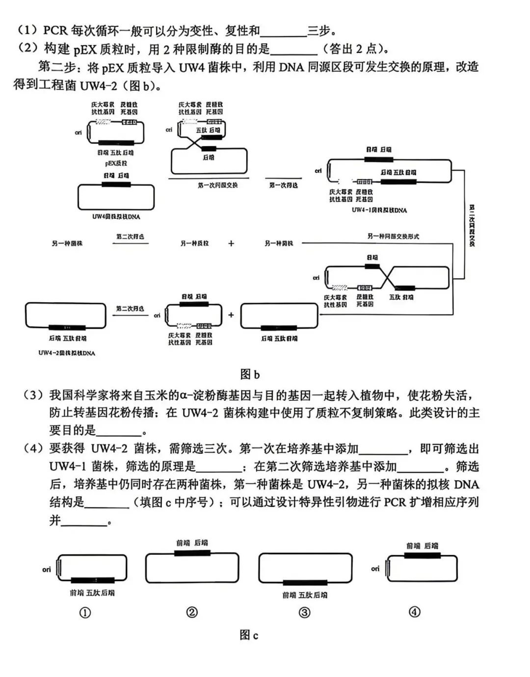 2026年云南省高考生物真题-第10张图片-四季读书网 2026年云南省高考生物真题-第10张图片-四季读书网