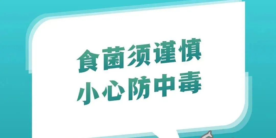 这套“试卷”!吃菌子前必做!你也来试试~-第33张图片-四季读书网