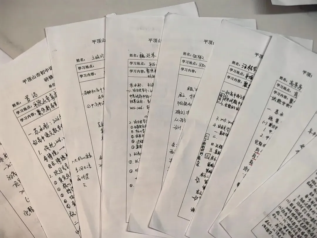 研析真题明方向,衔接学段育新机---张磊名师工作室参加市初、高中语文名师工作室联合研修活动-第29张图片-四季读书网 研析真题明方向,衔接学段育新机---张磊名师工作室参加市初、高中语文名师工作室联合研修活动-第29张图片-四季读书网