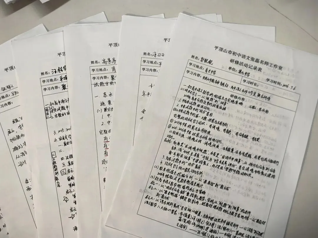 研析真题明方向,衔接学段育新机---张磊名师工作室参加市初、高中语文名师工作室联合研修活动-第30张图片-四季读书网 研析真题明方向,衔接学段育新机---张磊名师工作室参加市初、高中语文名师工作室联合研修活动-第30张图片-四季读书网