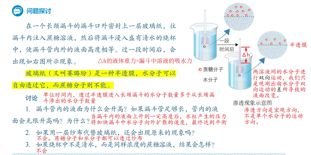 2026广东高考生物真题逐题详解+溯源 +考情+考点总结(收藏)-第9张图片-四季读书网 2026广东高考生物真题逐题详解+溯源 +考情+考点总结(收藏)-第9张图片-四季读书网