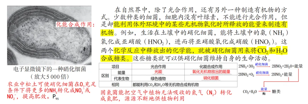 2026广东高考生物真题逐题详解+溯源 +考情+考点总结(收藏)-第10张图片-四季读书网 2026广东高考生物真题逐题详解+溯源 +考情+考点总结(收藏)-第10张图片-四季读书网