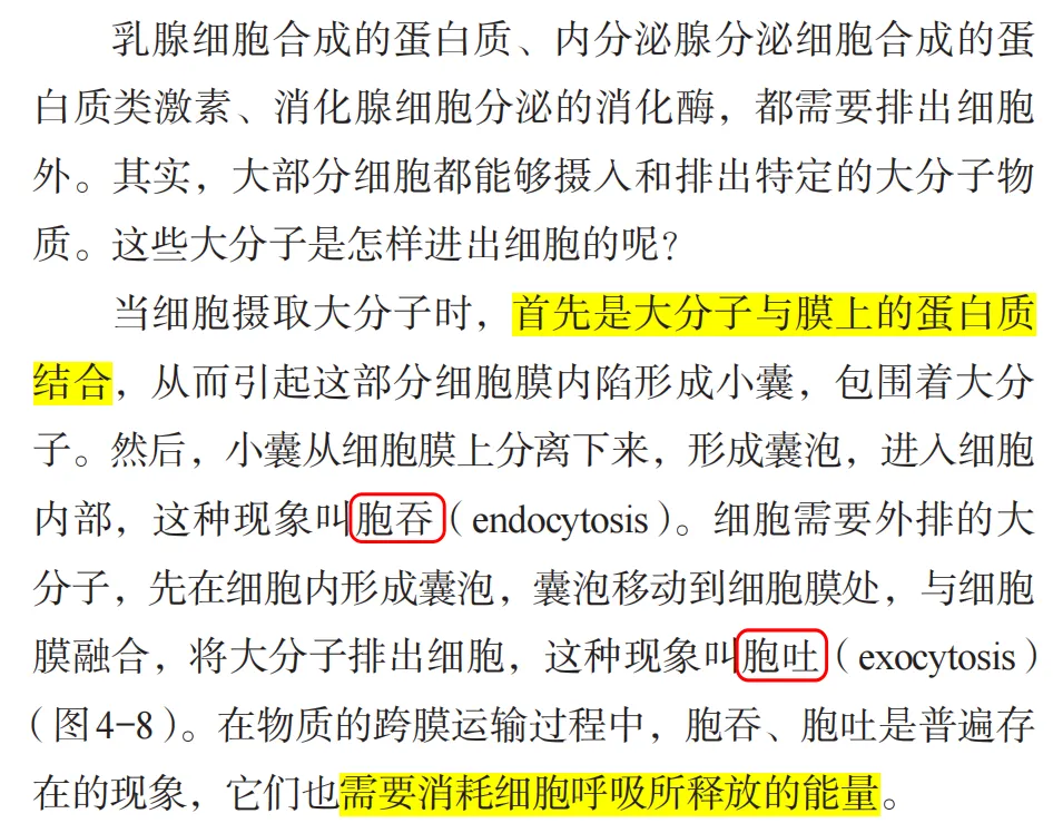 2026广东高考生物真题逐题详解+溯源 +考情+考点总结(收藏)-第11张图片-四季读书网 2026广东高考生物真题逐题详解+溯源 +考情+考点总结(收藏)-第11张图片-四季读书网