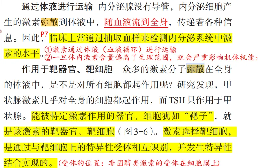 2026广东高考生物真题逐题详解+溯源 +考情+考点总结(收藏)-第12张图片-四季读书网 2026广东高考生物真题逐题详解+溯源 +考情+考点总结(收藏)-第12张图片-四季读书网