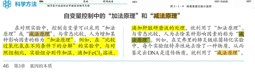 2026广东高考生物真题逐题详解+溯源 +考情+考点总结(收藏)-第13张图片-四季读书网 2026广东高考生物真题逐题详解+溯源 +考情+考点总结(收藏)-第13张图片-四季读书网