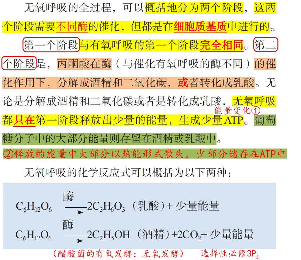 2026广东高考生物真题逐题详解+溯源 +考情+考点总结(收藏)-第14张图片-四季读书网 2026广东高考生物真题逐题详解+溯源 +考情+考点总结(收藏)-第14张图片-四季读书网