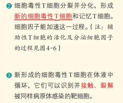 2026广东高考生物真题逐题详解+溯源 +考情+考点总结(收藏)-第24张图片-四季读书网 2026广东高考生物真题逐题详解+溯源 +考情+考点总结(收藏)-第24张图片-四季读书网
