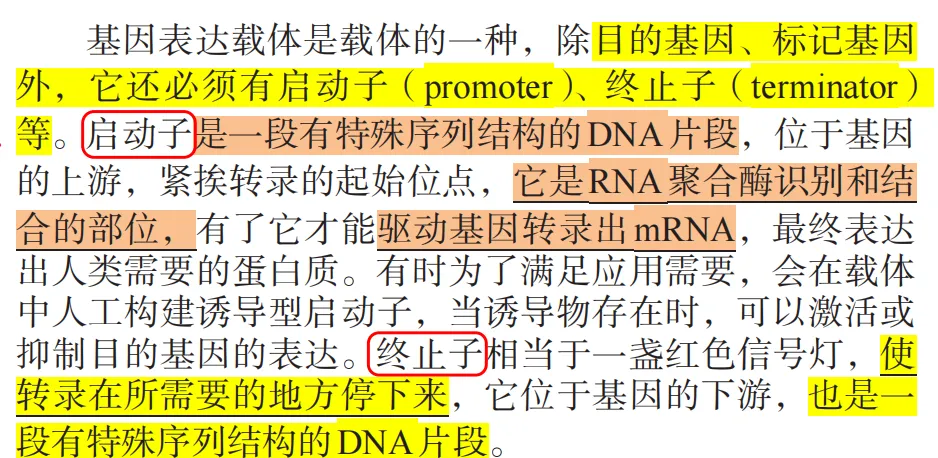 2026广东高考生物真题逐题详解+溯源 +考情+考点总结(收藏)-第32张图片-四季读书网 2026广东高考生物真题逐题详解+溯源 +考情+考点总结(收藏)-第32张图片-四季读书网