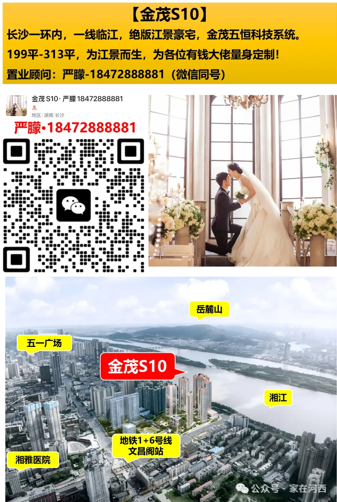 挺进长沙前十!今年中考,麓山国际打了个漂亮翻身仗!-第26张图片-四季读书网 挺进长沙前十!今年中考,麓山国际打了个漂亮翻身仗!-第26张图片-四季读书网