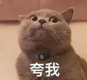 树洞时间:平衡学习与玩耍,教材、资料与真题?-第2张图片-四季读书网