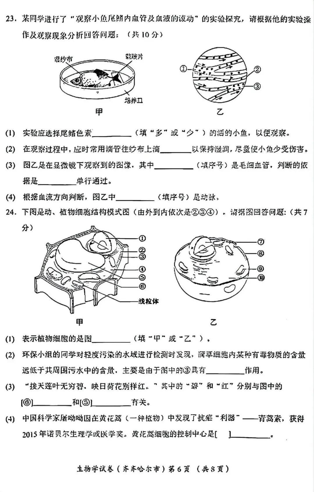 2026齐齐哈尔“中考”生物真题与答案-第6张图片-四季读书网