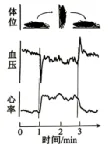2026年高考安徽卷生物高考真题(无答案)-第3张图片-四季读书网 2026年高考安徽卷生物高考真题(无答案)-第3张图片-四季读书网