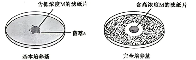 2026年高考安徽卷生物高考真题(无答案)-第7张图片-四季读书网 2026年高考安徽卷生物高考真题(无答案)-第7张图片-四季读书网