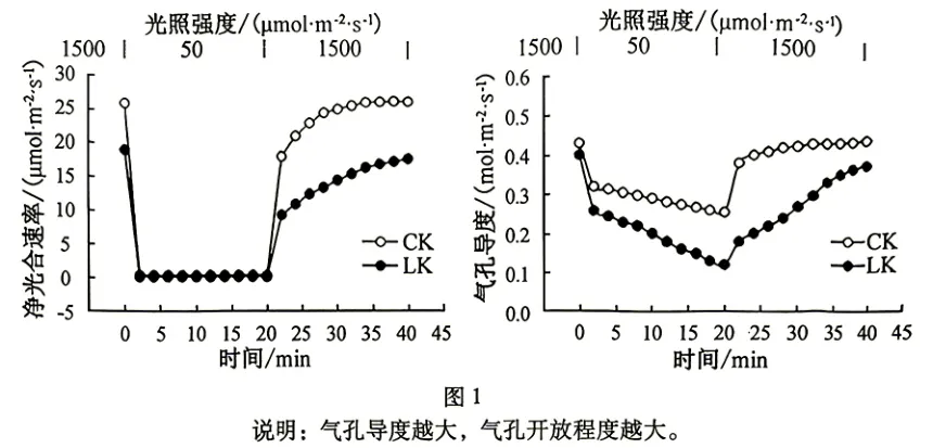 2026年高考安徽卷生物高考真题(无答案)-第9张图片-四季读书网 2026年高考安徽卷生物高考真题(无答案)-第9张图片-四季读书网