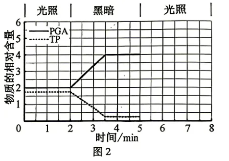 2026年高考安徽卷生物高考真题(无答案)-第11张图片-四季读书网 2026年高考安徽卷生物高考真题(无答案)-第11张图片-四季读书网