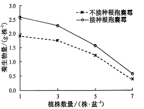 2026年高考安徽卷生物高考真题(无答案)-第12张图片-四季读书网 2026年高考安徽卷生物高考真题(无答案)-第12张图片-四季读书网