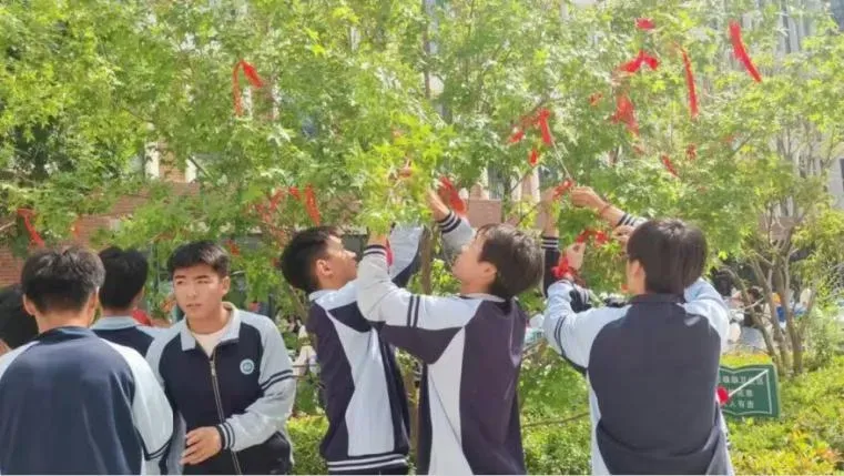 【中考普高补录】曹县、东明、鄄城、郓城、等中考生请注意!-第13张图片-四季读书网