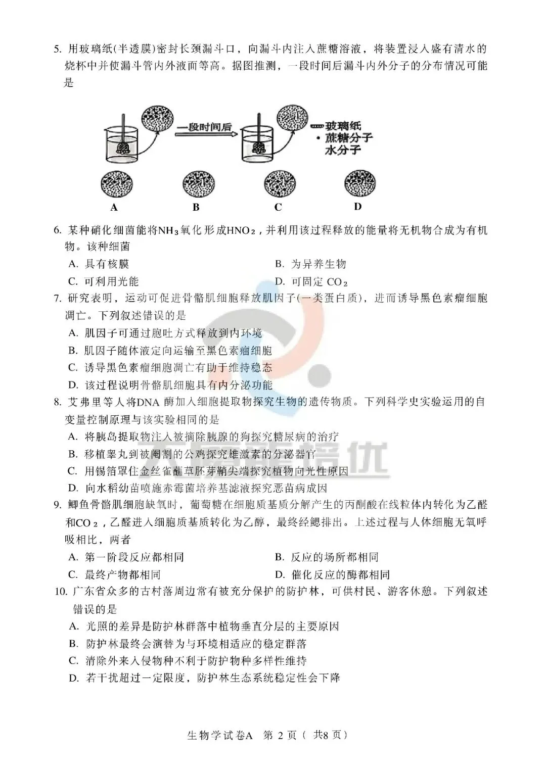 2026年广东高考生物试卷-第2张图片-四季读书网