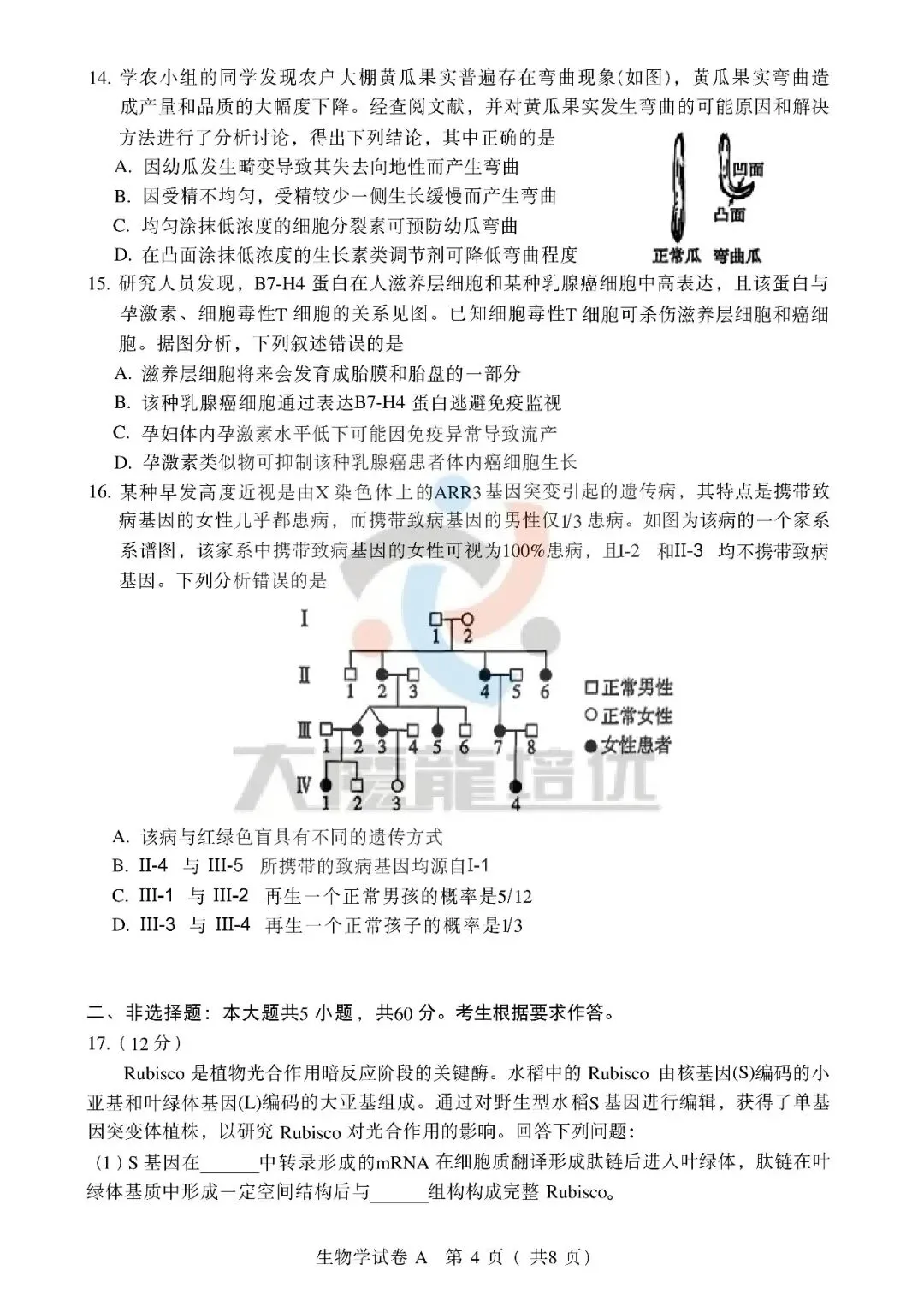 2026年广东高考生物试卷-第4张图片-四季读书网