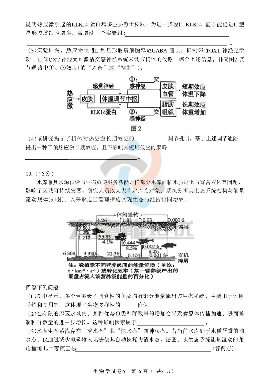 2026年广东高考生物试卷-第6张图片-四季读书网
