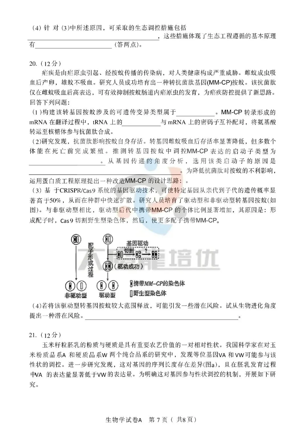 2026年广东高考生物试卷-第7张图片-四季读书网