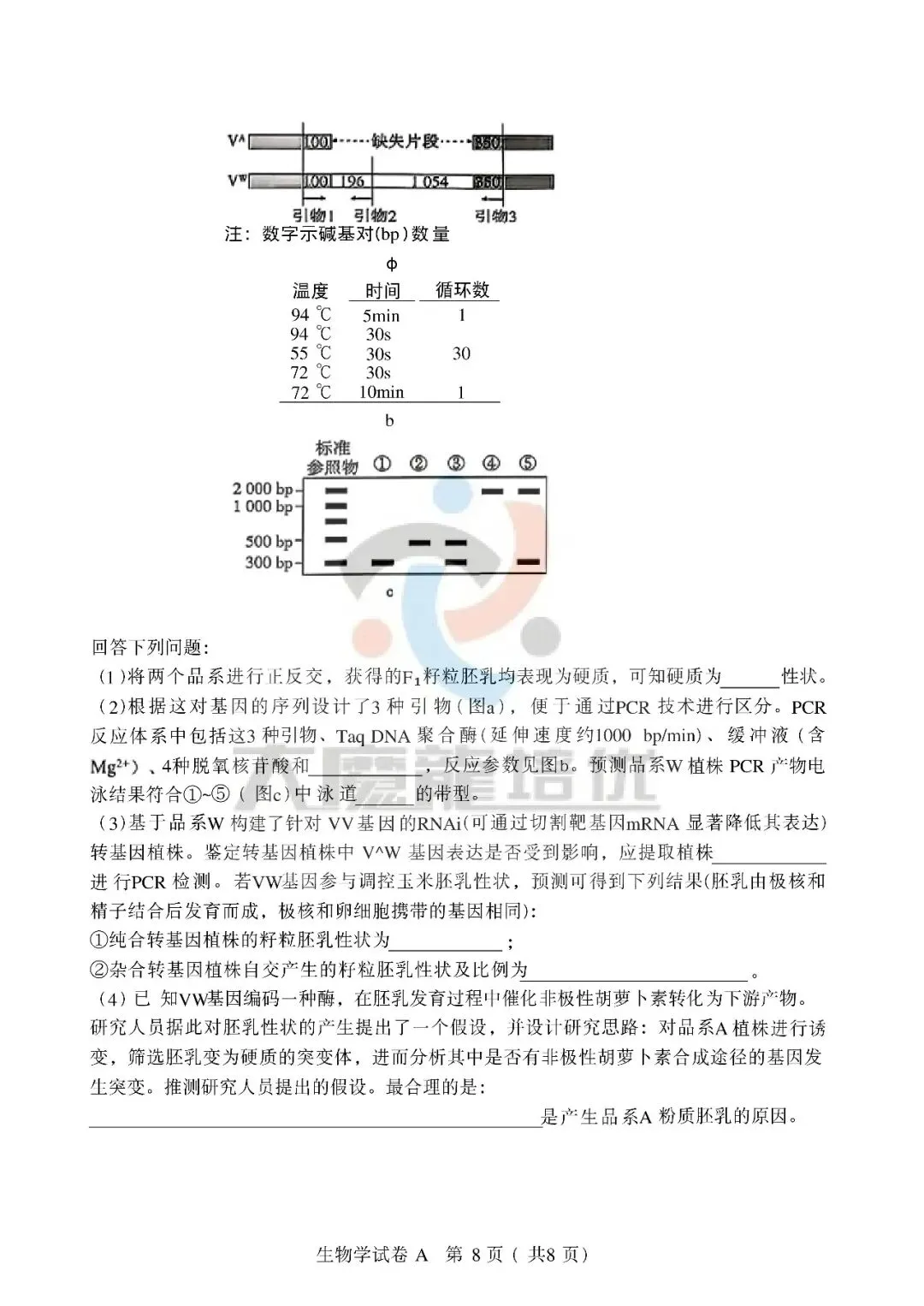 2026年广东高考生物试卷-第8张图片-四季读书网