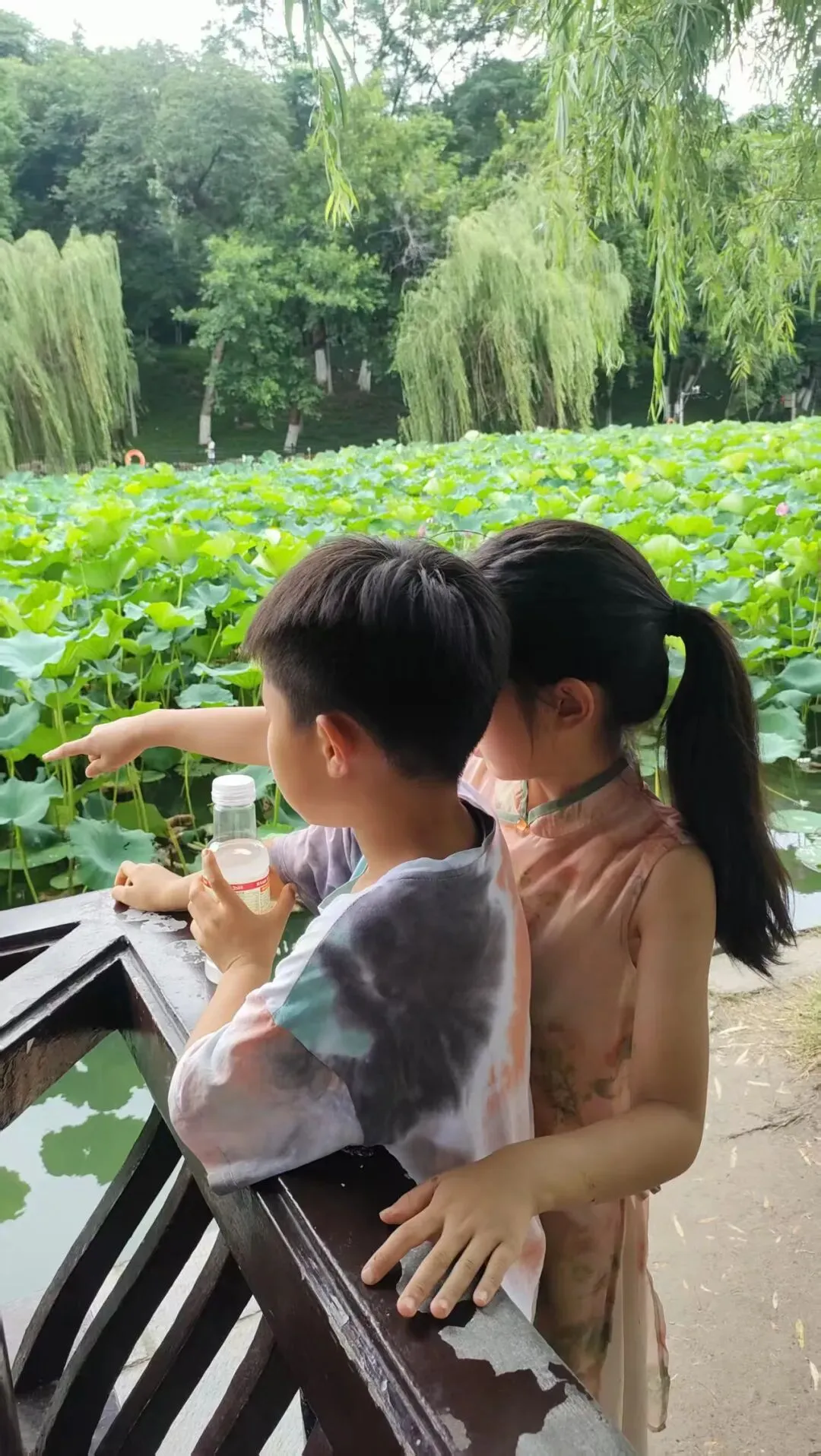 中考尘埃落定之后-第3张图片-四季读书网 中考尘埃落定之后-第3张图片-四季读书网