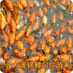 中考已阅卷完毕!广东一市今天中考放榜!汕头什么时候?-第3张图片-四季读书网
