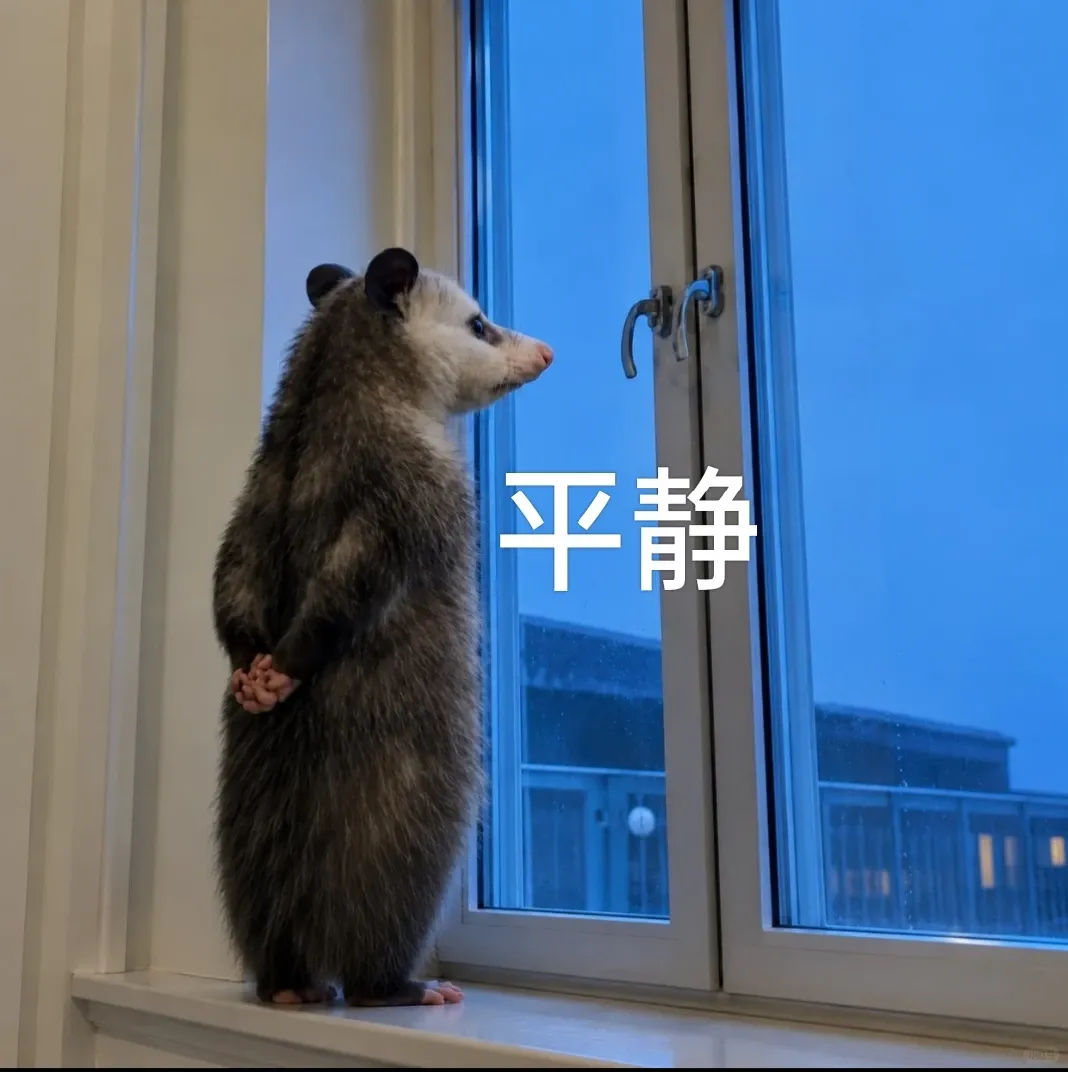 26年杭州中考已完结!27届作何准备??-第4张图片-四季读书网 26年杭州中考已完结!27届作何准备??-第4张图片-四季读书网