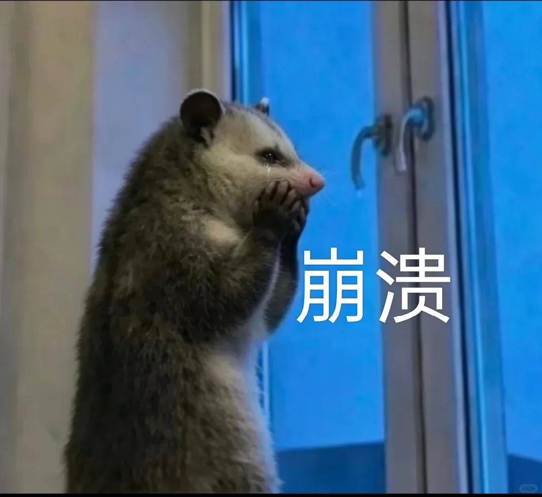 26年杭州中考已完结!27届作何准备??-第6张图片-四季读书网 26年杭州中考已完结!27届作何准备??-第6张图片-四季读书网