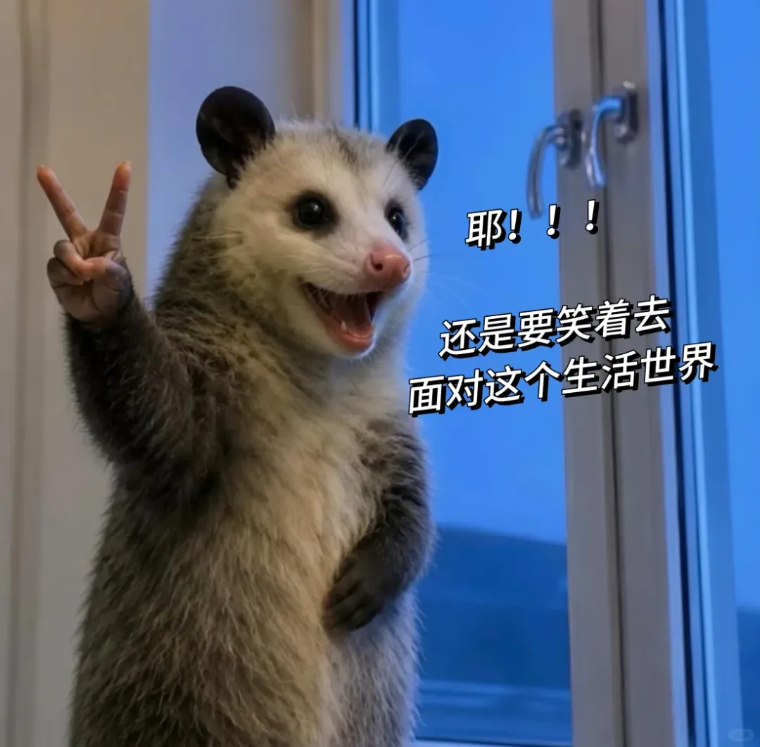 26年杭州中考已完结!27届作何准备??-第11张图片-四季读书网 26年杭州中考已完结!27届作何准备??-第11张图片-四季读书网