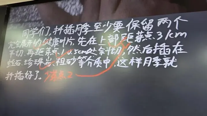 实中名师研中考|语文:让每粒种子都找到自己的春天-第42张图片-四季读书网 实中名师研中考|语文:让每粒种子都找到自己的春天-第42张图片-四季读书网