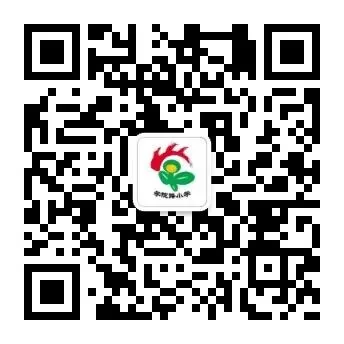 【学·苑·教学】以试卷为抓手 共探提质新路径——学院路小学期末质量分析会圆满召开-第22张图片-四季读书网 【学·苑·教学】以试卷为抓手 共探提质新路径——学院路小学期末质量分析会圆满召开-第22张图片-四季读书网