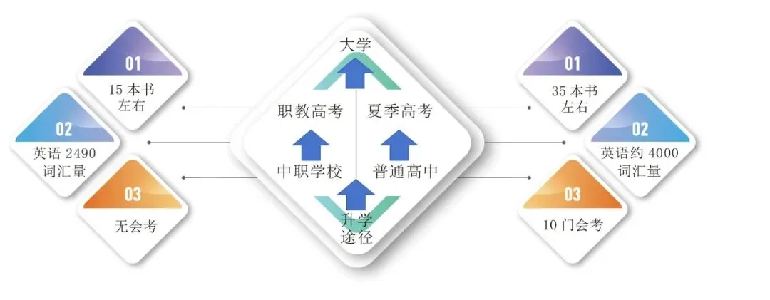 中考没过普高线,三年后她考上了本科-第15张图片-四季读书网 中考没过普高线,三年后她考上了本科-第15张图片-四季读书网