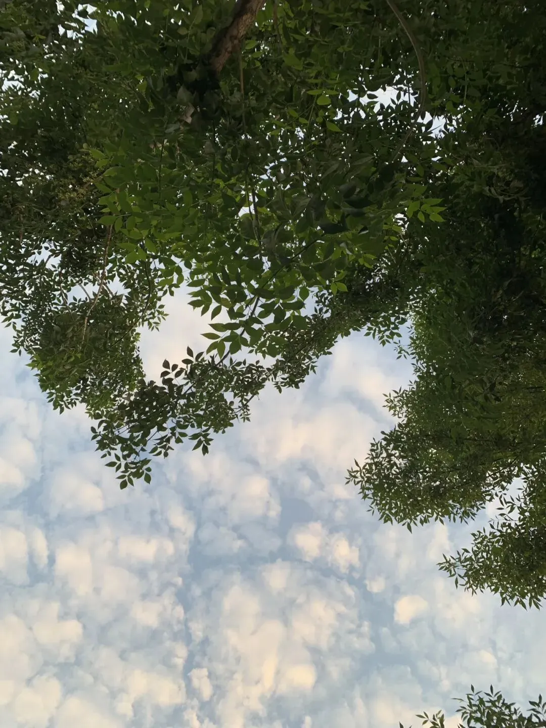 第一个五年计划的期中考-第3张图片-四季读书网 第一个五年计划的期中考-第3张图片-四季读书网