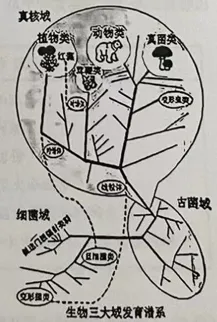【暑期提升】专题11  说明文阅读中考语文真题分类汇编(全国通用)(原卷版).docx 提成绩,真题练,收藏!-第5张图片-四季读书网