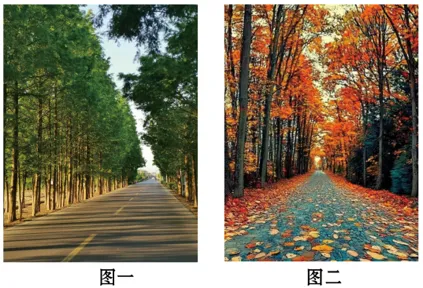 2026年重庆中考真题语文试卷-教师用卷-第1张图片-四季读书网