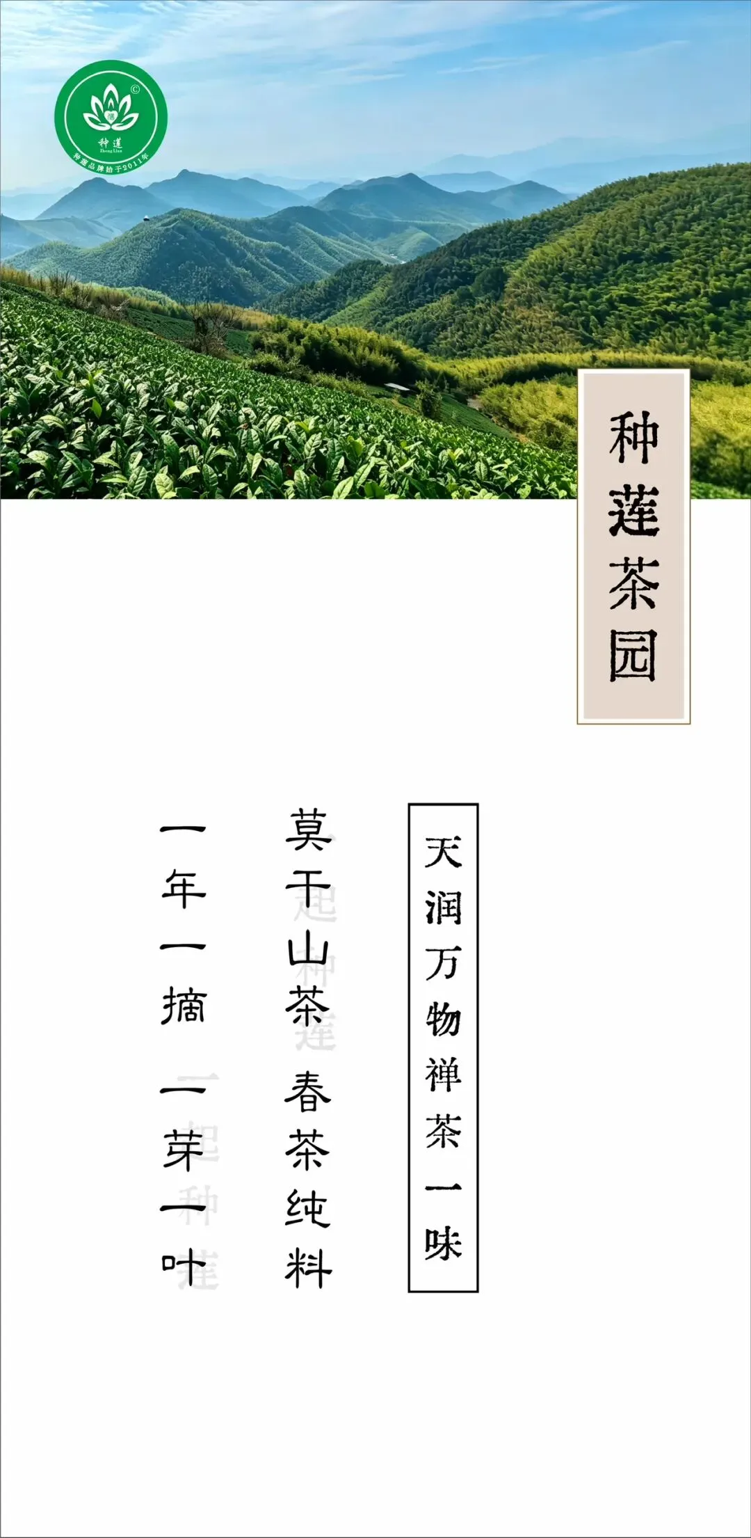 禅茶传承师理论考核试卷(含参考答案)-第1张图片-四季读书网