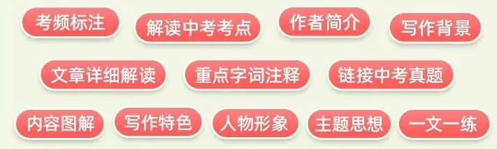 2026中考成绩陆续公布,我发现……-第8张图片-四季读书网