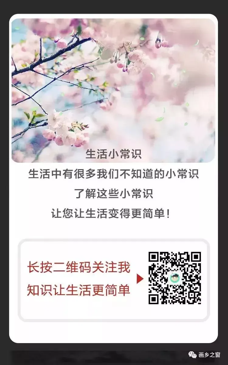 中考落榜不用慌!学一技之长,照样逆袭出彩人生-第3张图片-四季读书网 中考落榜不用慌!学一技之长,照样逆袭出彩人生-第3张图片-四季读书网