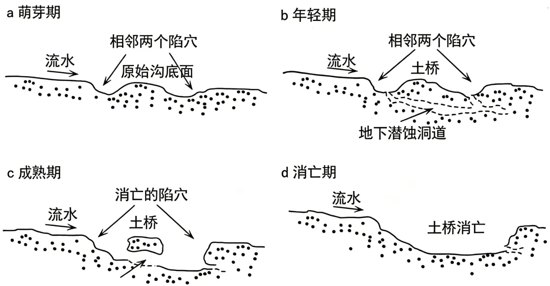 山西太原市2026年高三年级下学期模拟考试(二)地理试题-第5张图片-四季读书网