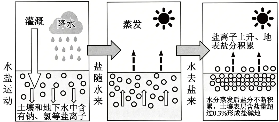 山西太原市2026年高三年级下学期模拟考试(二)地理试题-第8张图片-四季读书网