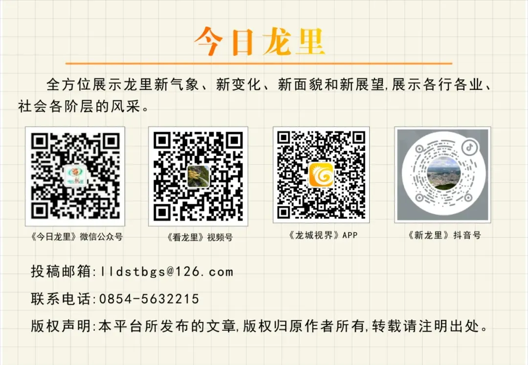 龙里县教育局关于2026年中考志愿填报咨询服务的公告-第5张图片-四季读书网
