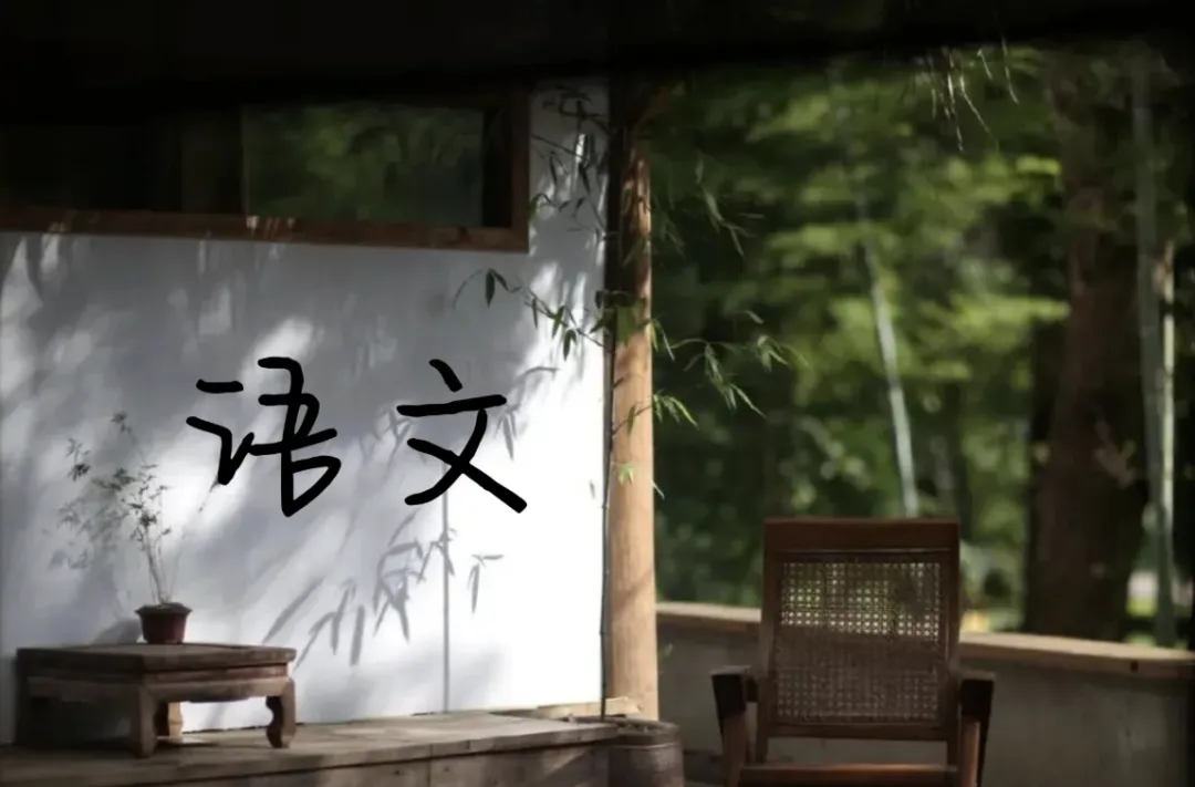 中考语文怎么考?初中三年怎么学?——2026年湖南中考语文试卷分析-第5张图片-四季读书网 中考语文怎么考?初中三年怎么学?——2026年湖南中考语文试卷分析-第5张图片-四季读书网