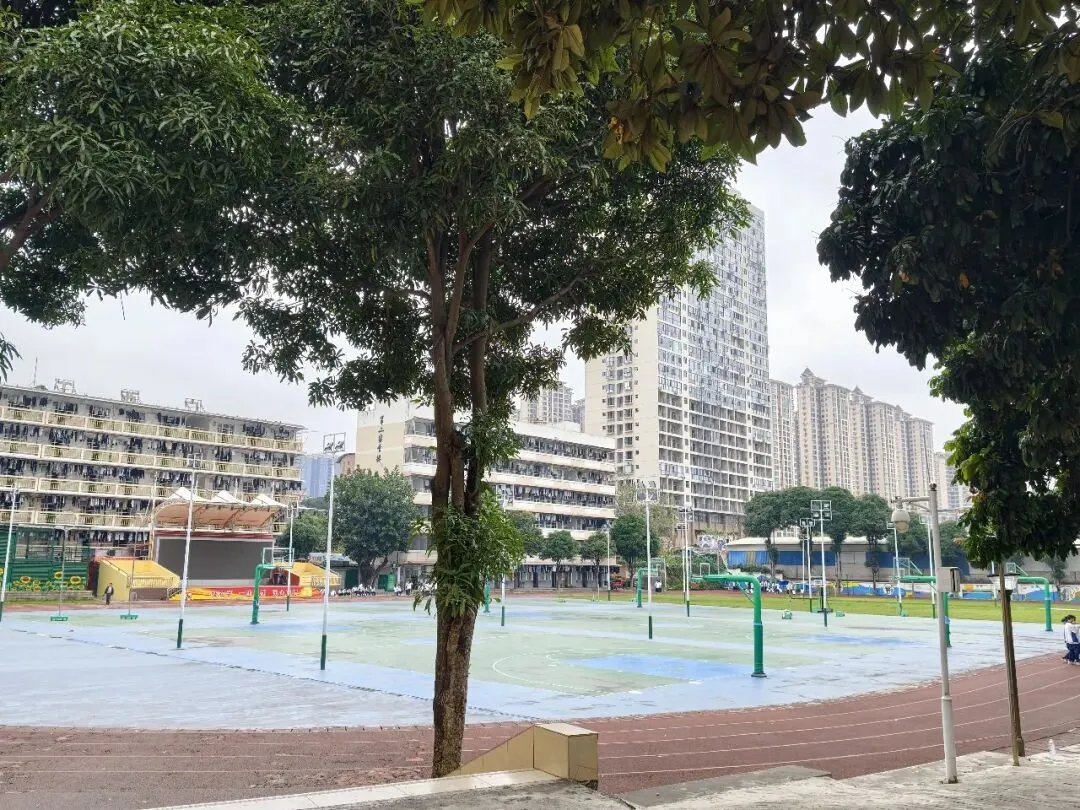 中考成绩不理想?看过来!广西工商学校2026年招生火热进行中!-第4张图片-四季读书网