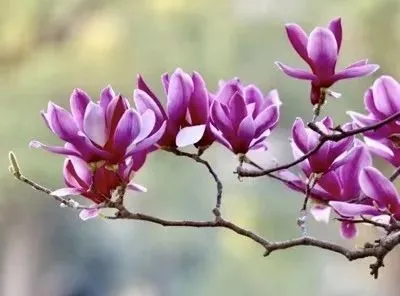 中考最大价值在于打破幻想回归现实-第1张图片-四季读书网