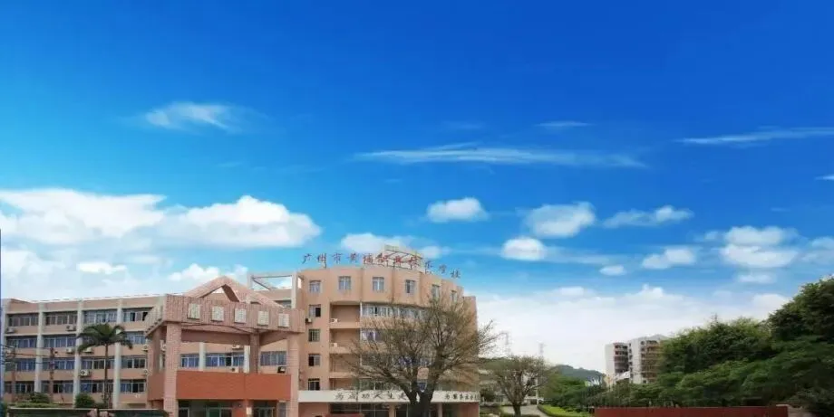 清远中考志愿填报全解:公办 / 民办 / 中职,广州学校报考指南-第19张图片-四季读书网